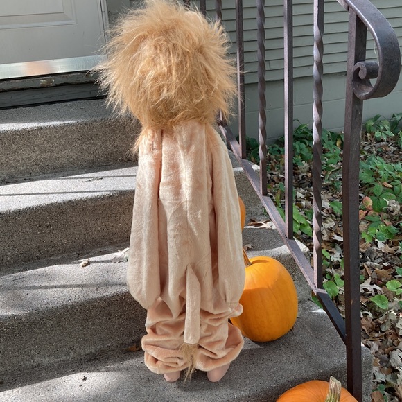 🎃 Lion Costume - Picture 4 of 7